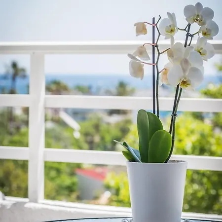 Hotel Essential Summer (adults Only)